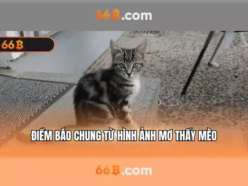 Cong cu kiem soat rieng voi minh bach