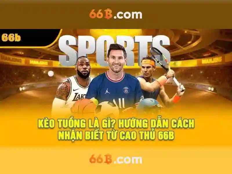 66B: Tầm nhìn và ứng dụng