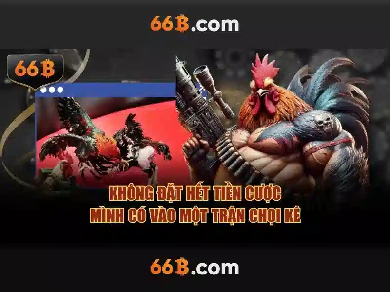 66B: một khái niệm thú vị trong số học và công nghệ