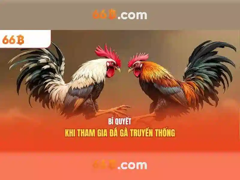 66b: Khám phá khái niệm và ứng dụng