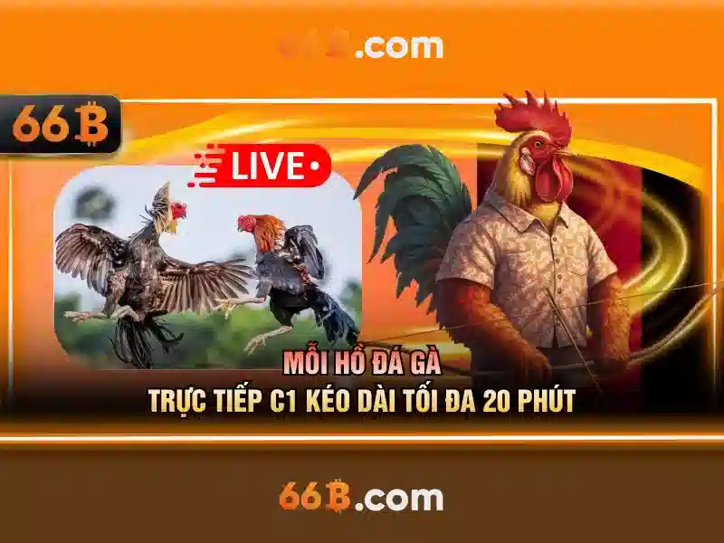 ho-tro-khach-hang-24-7