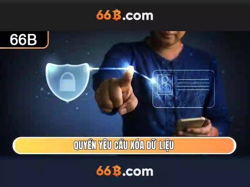 66b of the b – Dòng chảy sáng tạo và cộng đồng kết nối