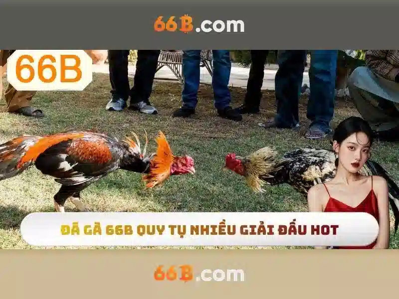 64b/66b encoding – Tổng quan và Giá trị cốt lõi cho mạng 66b