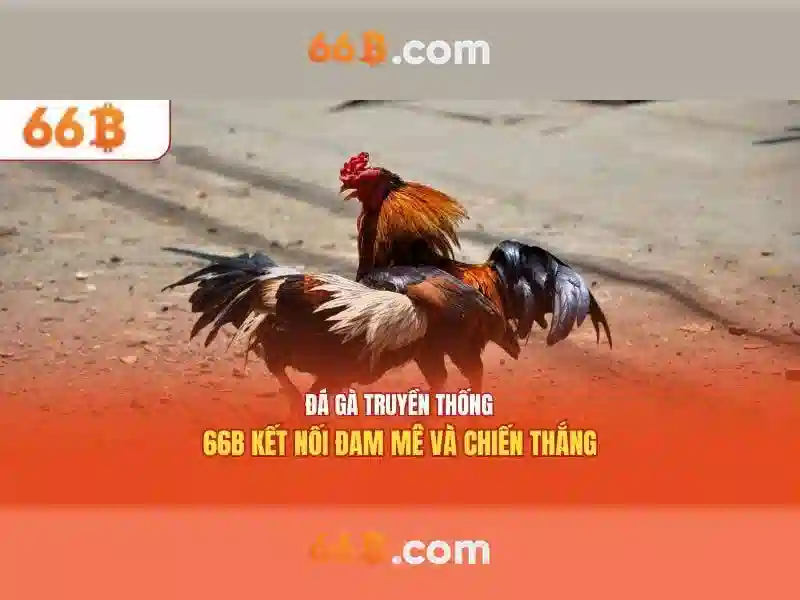 Đăng nhập 66b: Kết nối an toàn và trải nghiệm vượt trội