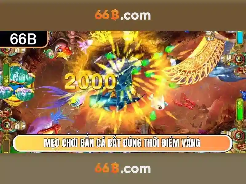 66b và những điều cần biết