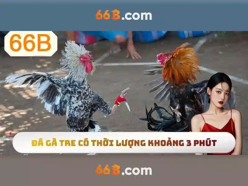 66b web – Định hình tương lai số và cộng đồng