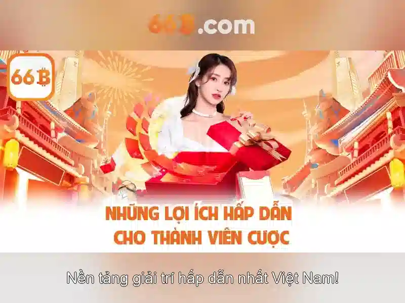 66b là gì và ứng dụng của nó