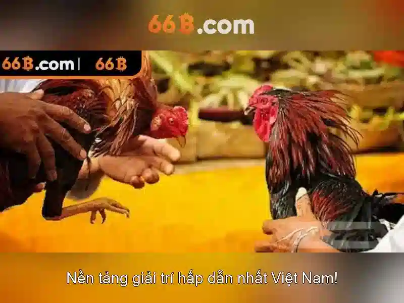66B: một mô hình ngôn ngữ khổng lồ 66 tỷ tham số