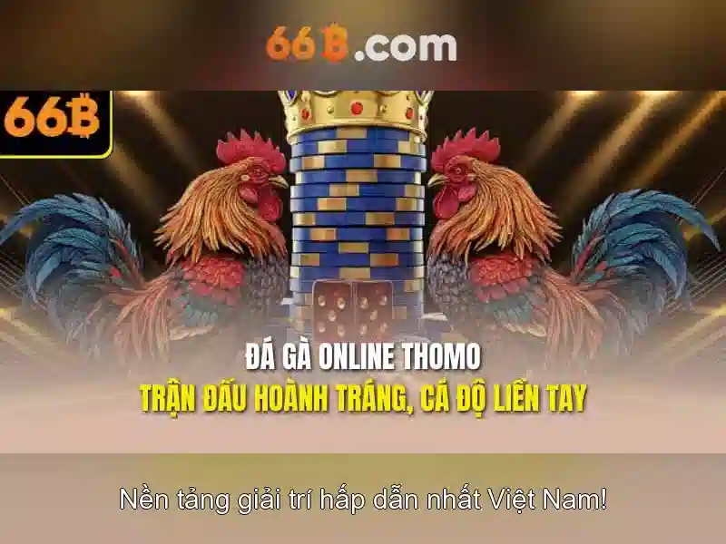 66b: Khái niệm, chức năng và ứng dụng