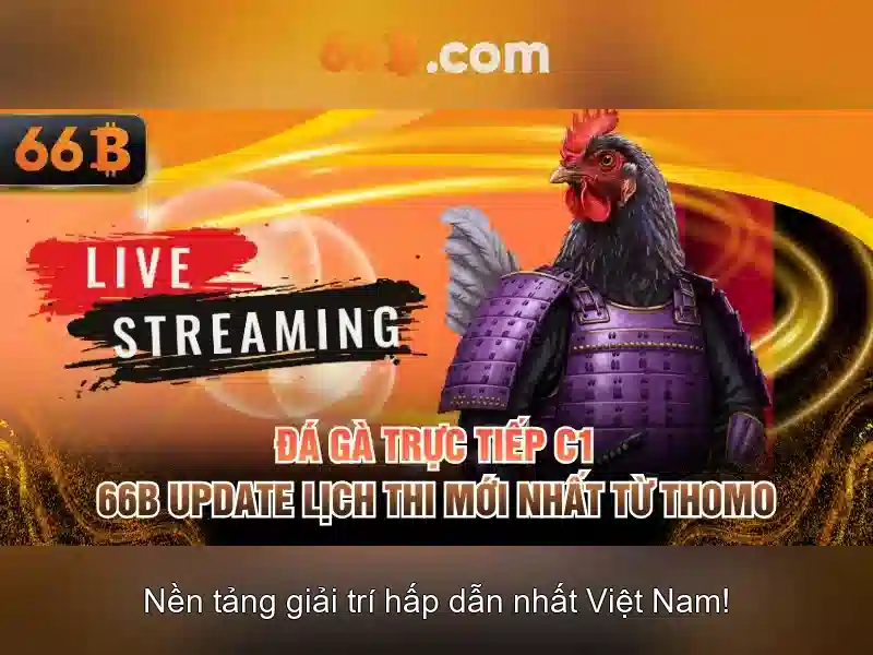Mô hình 66B: tham số, kiến trúc và ứng dụng