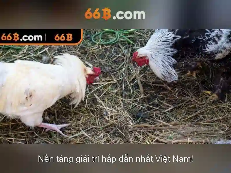 66B: Mô hình AI 66 tỷ tham số và tác động