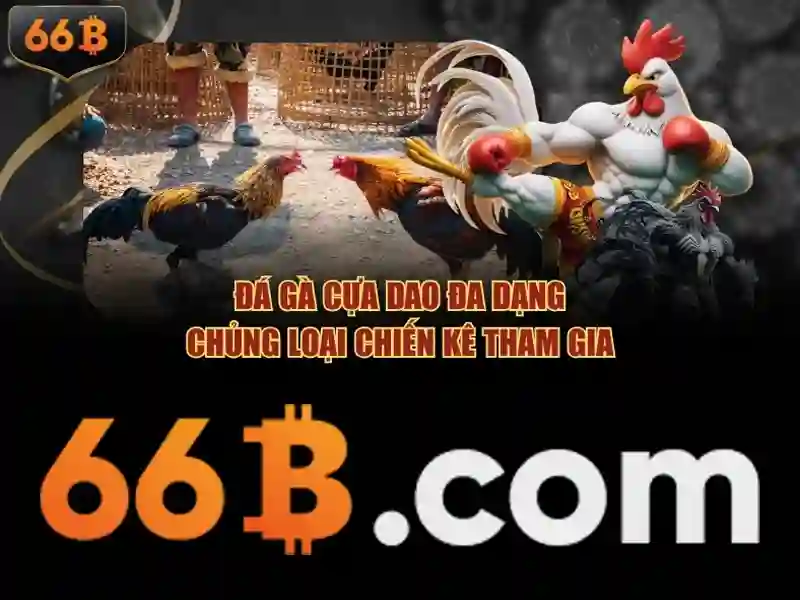 66B: Mô hình ngôn ngữ quy mô lớn và hành trình của nó