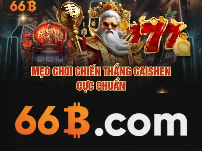 66B: một cái nhìn tổng quan