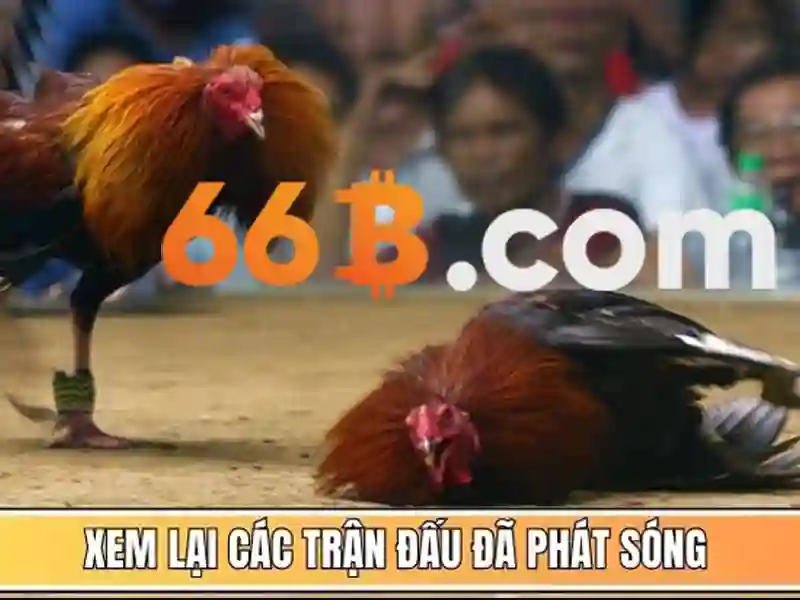Hướng dẫn đăng ký tài khoản 66b nhanh chóng và miễn phí