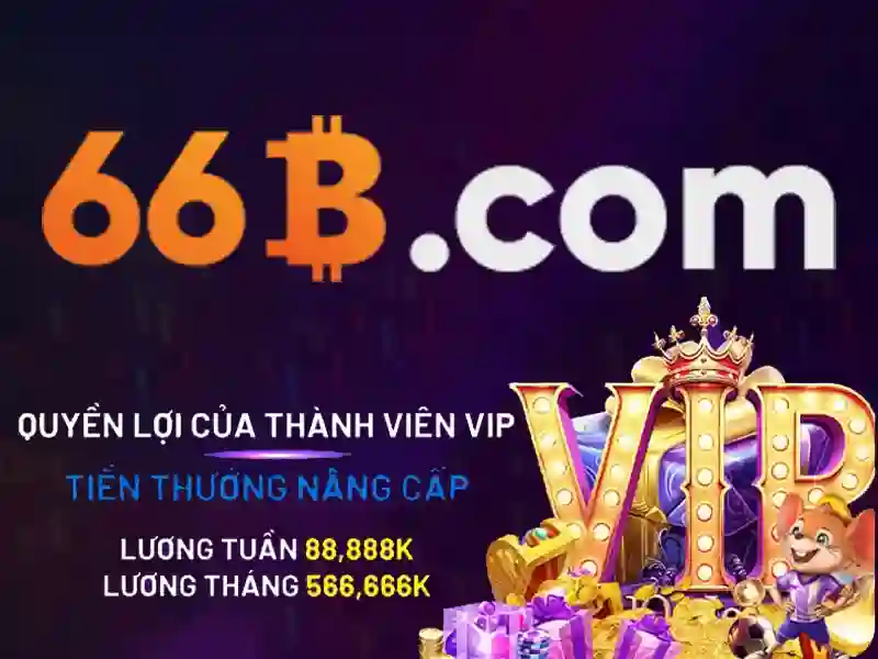 66b: cái nhìn tổng quan và ứng dụng